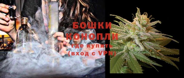 соль ск Бикин