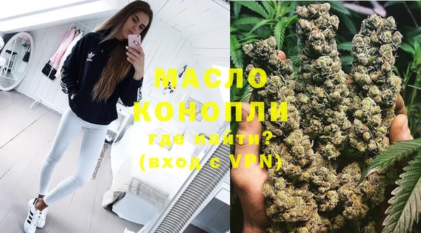 шишки Новодвинск