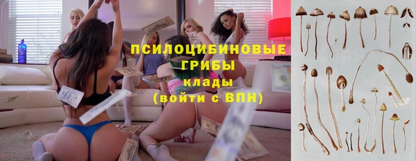 мдпв Нефтекумск