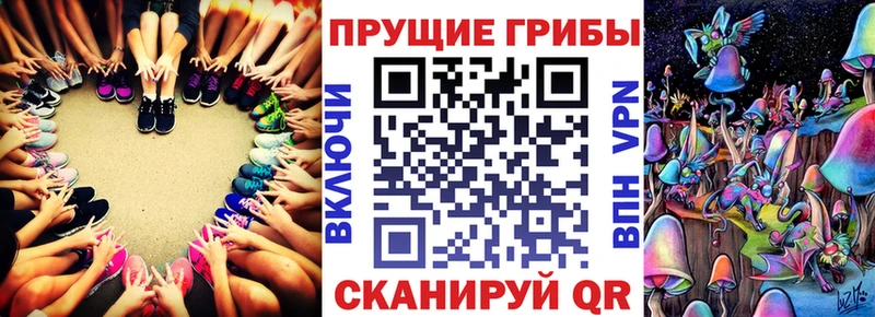 Псилоцибиновые грибы Psilocybine cubensis  купить закладку  Петровск-Забайкальский 